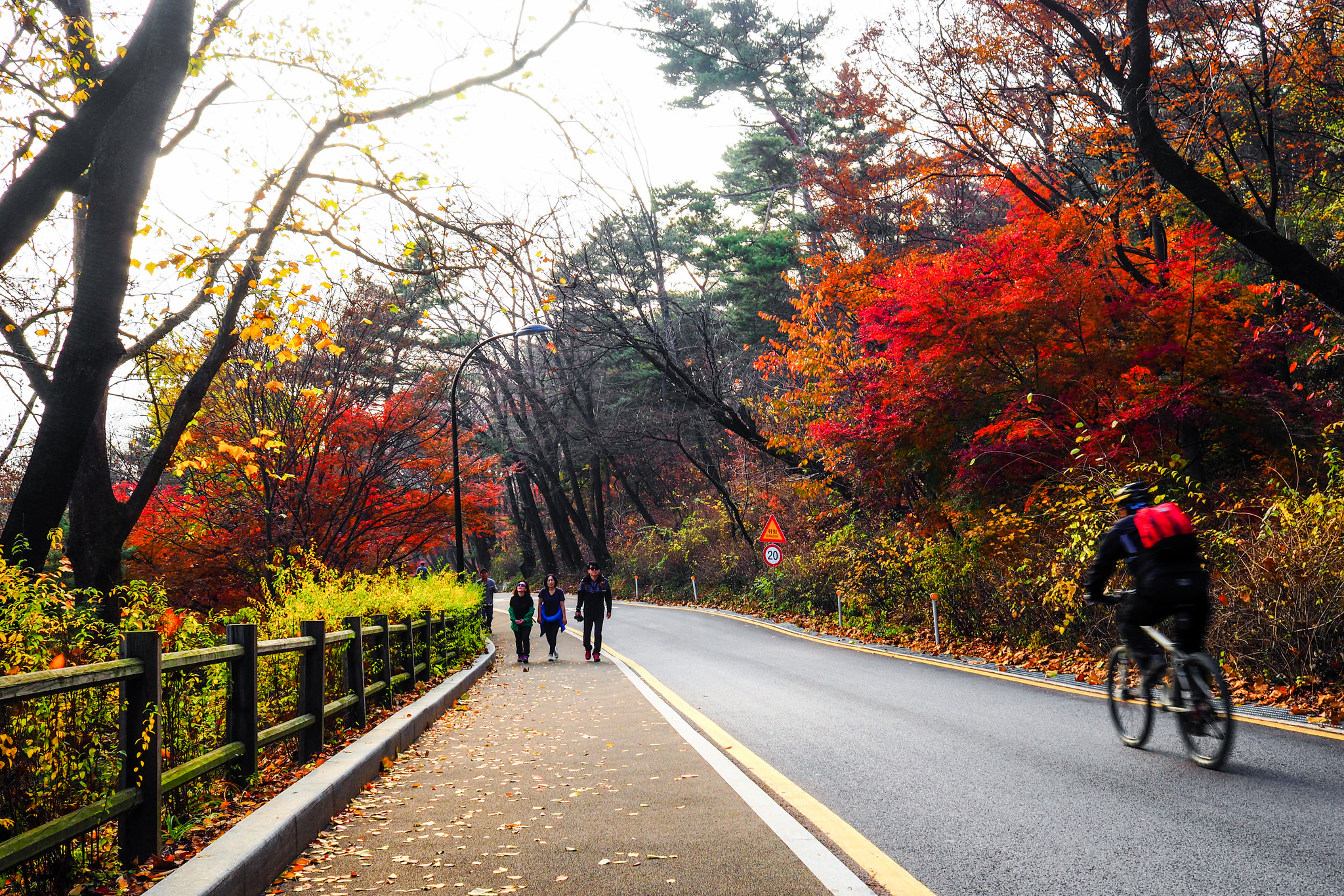 7 best places to go in South Korea during autumn - Skyscanner Philippines